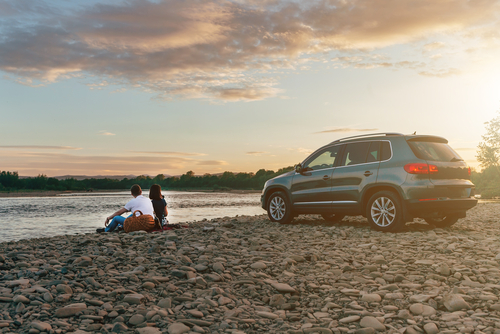 Portrait,Of,Happy,Young,Adult,Couple,With,Dog,On,Roadtrip.