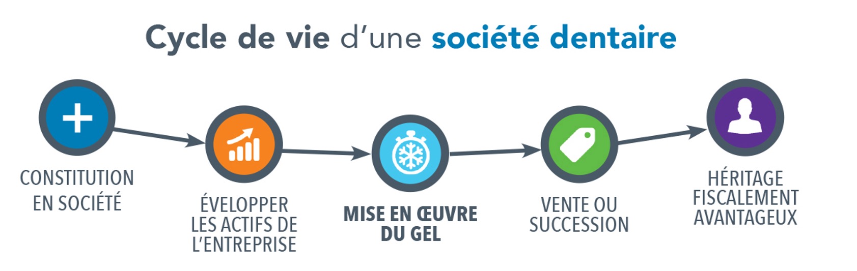 cycle-de-vie-societe-dentaire