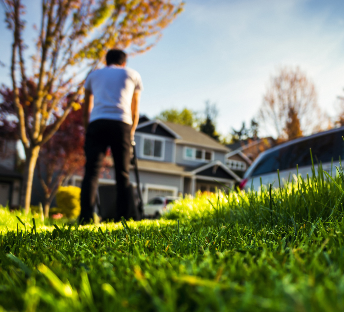 Mowing The Lawn